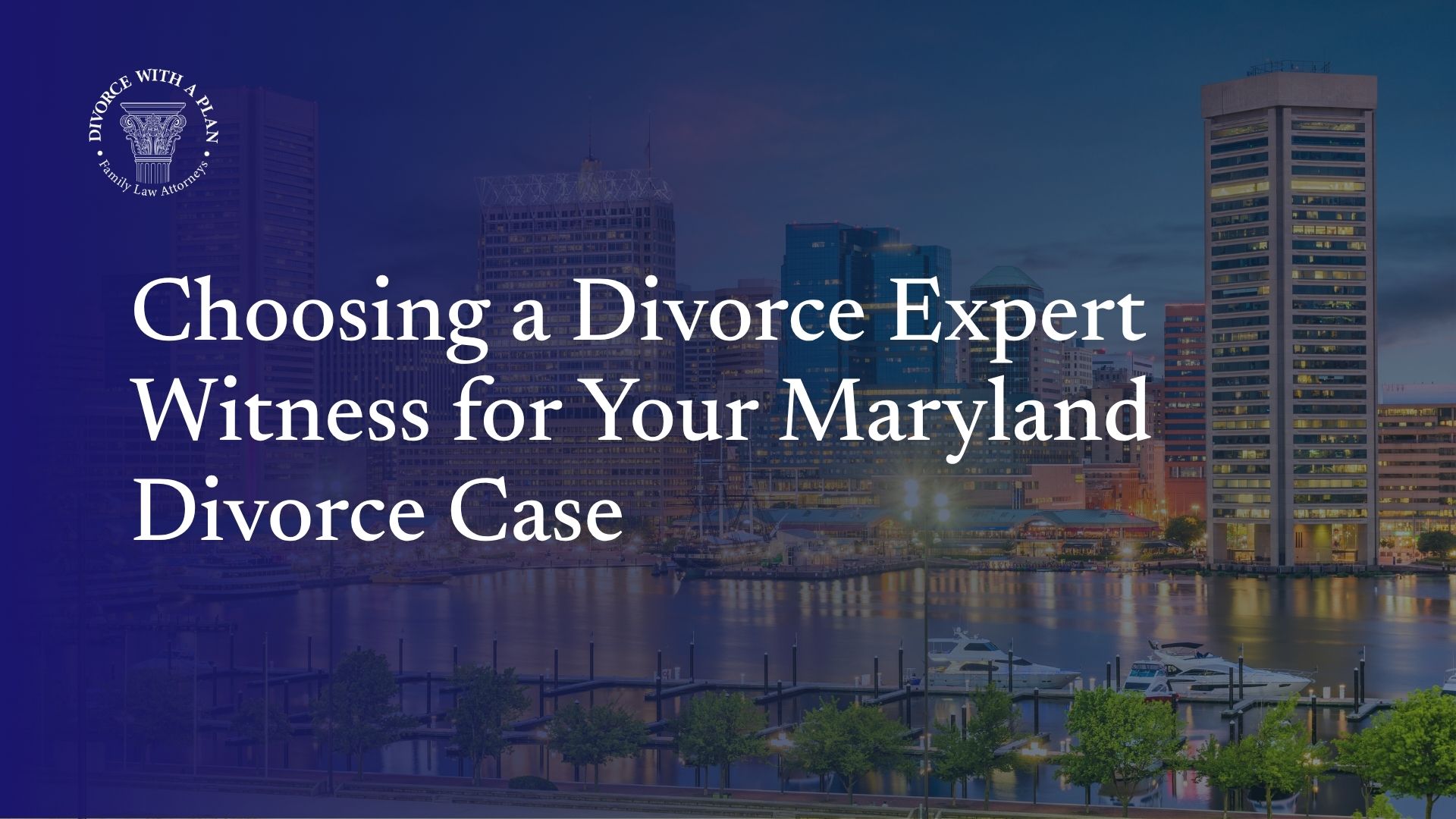 expert witnesses