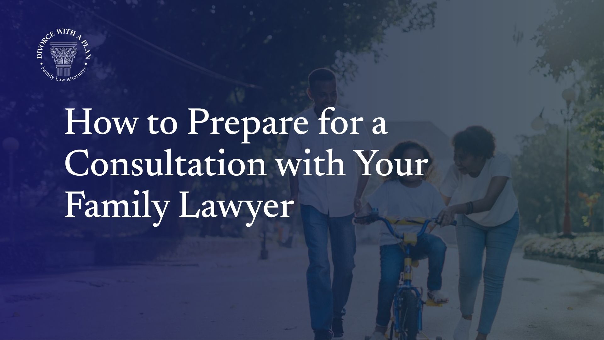 Family Lawyer